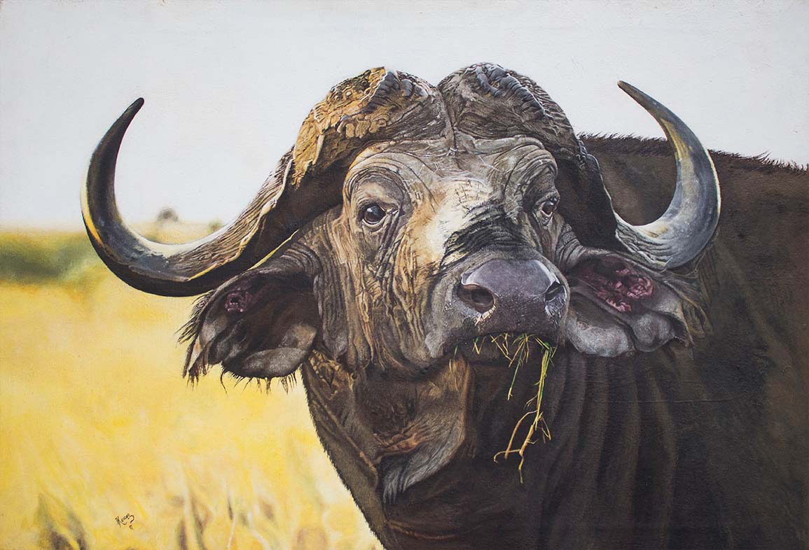 Cape Warrior, Cape Buffalo Acrylic Painting by Kevogo Yavetsi