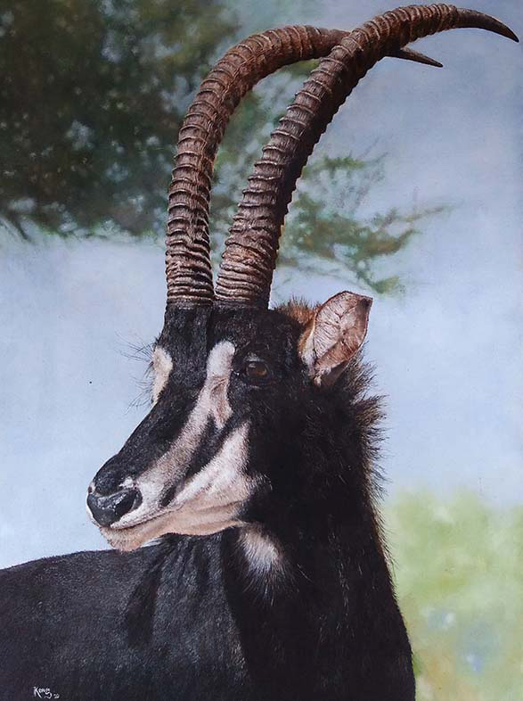 Spirit of Africa, Sable Antelope Oil Painting by Kevogo Yavetsi